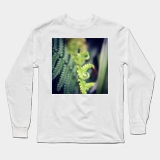 Lush green ferns Long Sleeve T-Shirt